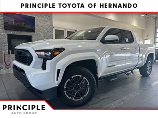 2024 Toyota Tacoma for sale in Hernando MS