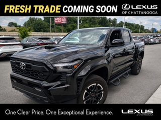 2024 Toyota Tacoma for sale in Chattanooga TN