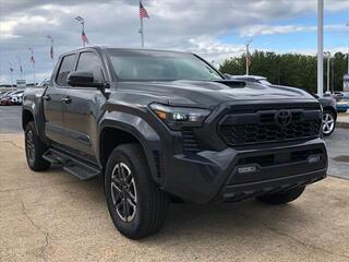 2024 Toyota Tacoma for sale in Chattanooga TN