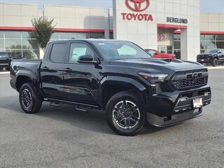 2024 Toyota Tacoma for sale in Lynchburg VA