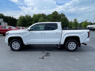 2025 Toyota Tacoma for sale in Morristown TN
