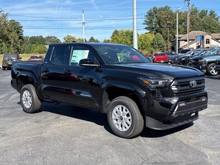 2025 Toyota Tacoma for sale in Hendersonville NC