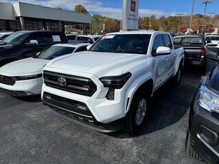 2024 Toyota Tacoma for sale in Kingsport TN