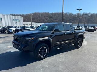 2024 Toyota Tacoma for sale in Kingsport TN