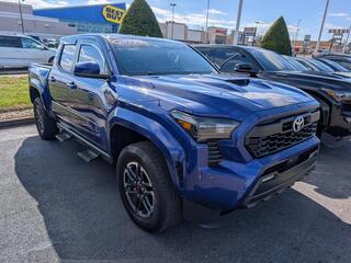 2024 Toyota Tacoma for sale in Bowling Green KY