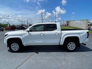 2025 Toyota Tacoma for sale in Morristown TN