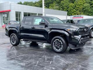 2024 Toyota Tacoma for sale in Princeton WV