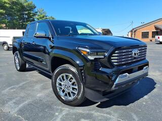 2024 Toyota Tacoma for sale in Clarksville TN