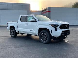 2024 Toyota Tacoma for sale in Princeton WV