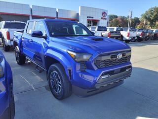 2024 Toyota Tacoma for sale in Clawson MI