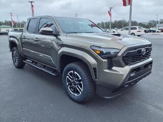 2025 Toyota Tacoma for sale in New Bern NC