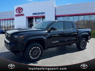 2025 Toyota Tacoma for sale in Kingsport TN