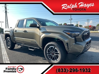 2025 Toyota Tacoma for sale in Anderson SC