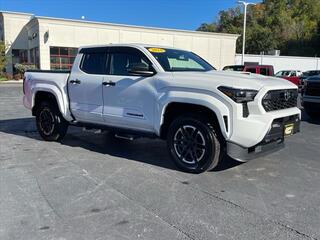 2024 Toyota Tacoma for sale in Princeton WV