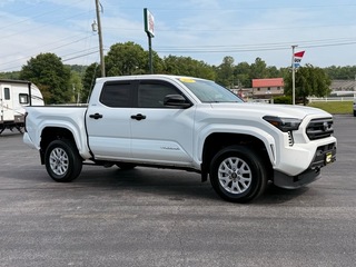 2024 Toyota Tacoma for sale in Princeton WV