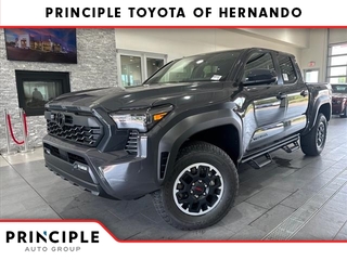 2024 Toyota Tacoma for sale in Hernando MS