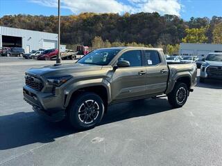 2024 Toyota Tacoma for sale in Kingsport TN