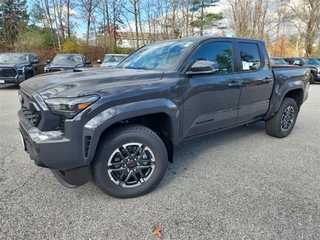 2024 Toyota Tacoma for sale in Epping NH