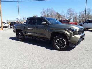 2024 Toyota Tacoma for sale in Rocky Mount VA