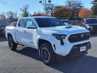 2024 Toyota Tacoma for sale in Roanoke VA