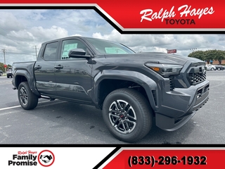 2025 Toyota Tacoma for sale in Anderson SC