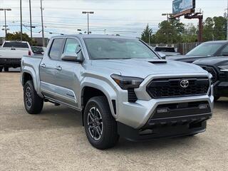 2024 Toyota Tacoma for sale in Chattanooga TN