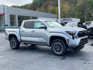 2024 Toyota Tacoma for sale in Princeton WV