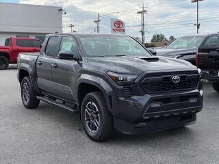 2024 Toyota Tacoma for sale in Chattanooga TN