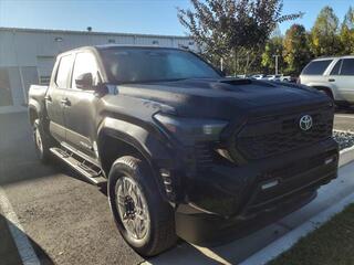 2024 Toyota Tacoma for sale in Lynchburg VA