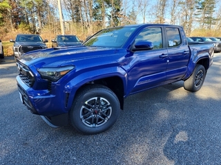 2024 Toyota Tacoma for sale in Epping NH