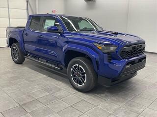 2025 Toyota Tacoma for sale in Murray KY