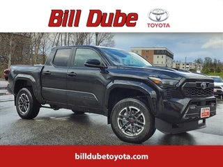 2024 Toyota Tacoma for sale in Dover NH