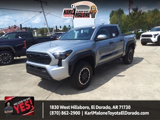 2024 Toyota Tacoma for sale in Muskegon MI