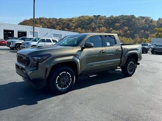 2024 Toyota Tacoma for sale in Kingsport TN