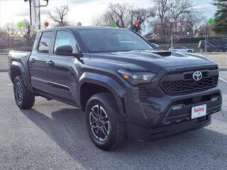 2024 Toyota Tacoma for sale in Roanoke VA