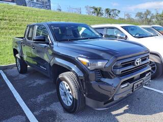 2024 Toyota Tacoma for sale in Roanoke VA