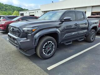 2024 Toyota Tacoma for sale in Kingsport TN