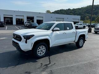 2024 Toyota Tacoma for sale in Kingsport TN