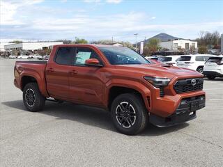 2025 Toyota Tacoma for sale in Roanoke VA