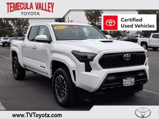 2024 Toyota Tacoma for sale in Random Lake WI