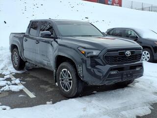 2024 Toyota Tacoma for sale in Roanoke VA