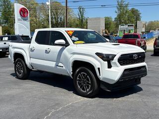 2024 Toyota Tacoma for sale in Hendersonville NC