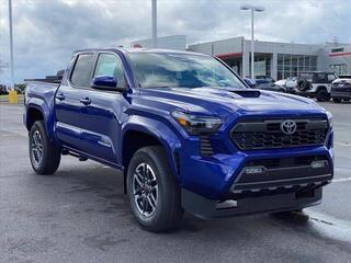 2024 Toyota Tacoma for sale in Mcdonald TN