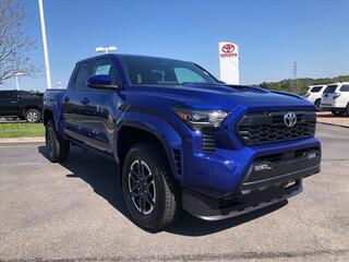 2024 Toyota Tacoma for sale in Mcdonald TN