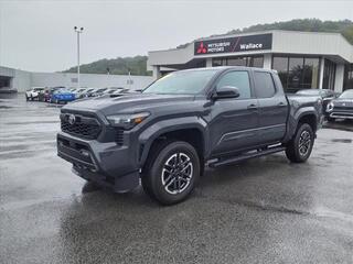 2024 Toyota Tacoma for sale in Kingsport TN