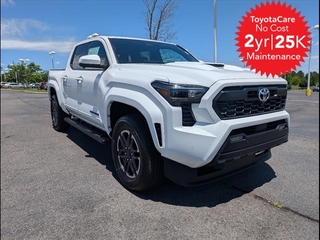 2025 Toyota Tacoma for sale in Mcdonald TN