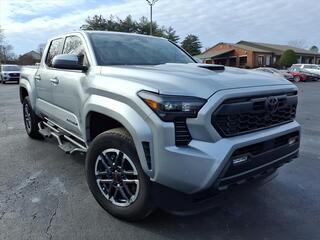 2024 Toyota Tacoma for sale in Clarksville TN