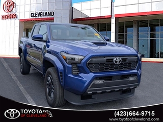 2024 Toyota Tacoma for sale in Mcdonald TN