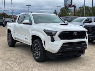 2024 Toyota Tacoma for sale in Chattanooga TN