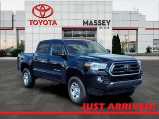 2023 Toyota Tacoma for sale in Kinston NC